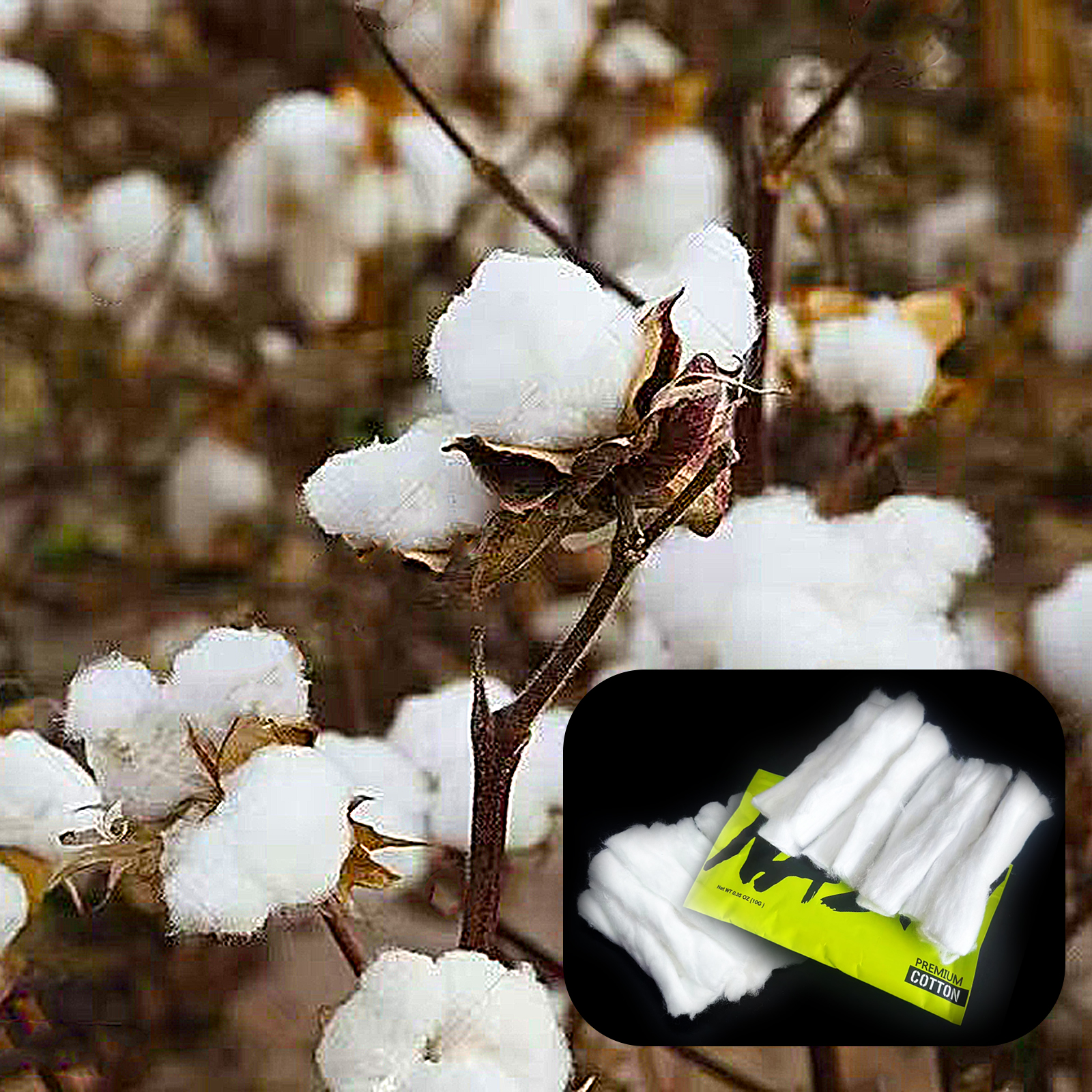 10/5/3Packs Home DIY Natural C - Cotton Wick Organic ulasan dan harga