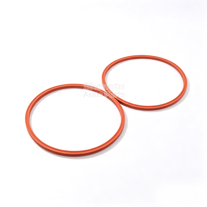 2Pcs Fuel Pump Tank Seal O-Rin - Tank O-Ring Seal ulasan dan harga